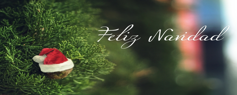 ¡Márquez y Fajardo te desea una feliz navidad!