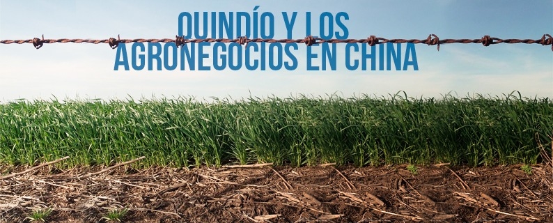 Agronegocios quindianos en China