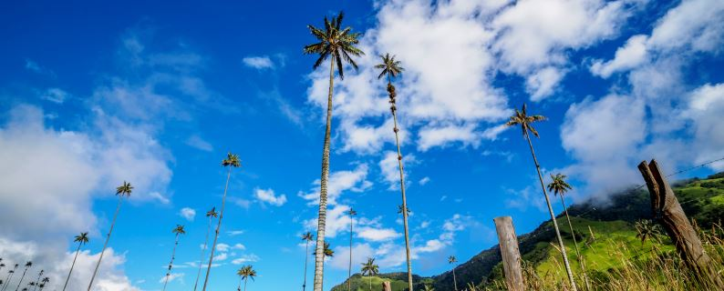 ¡Cinco destinos turísticos recomendados en el Quindío!