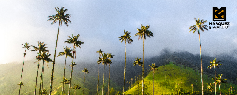 Eje Cafetero, un destino imperdible en el corazón de Colombia